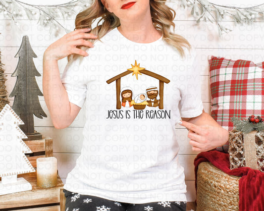 Jesus Is The Reason Shirt